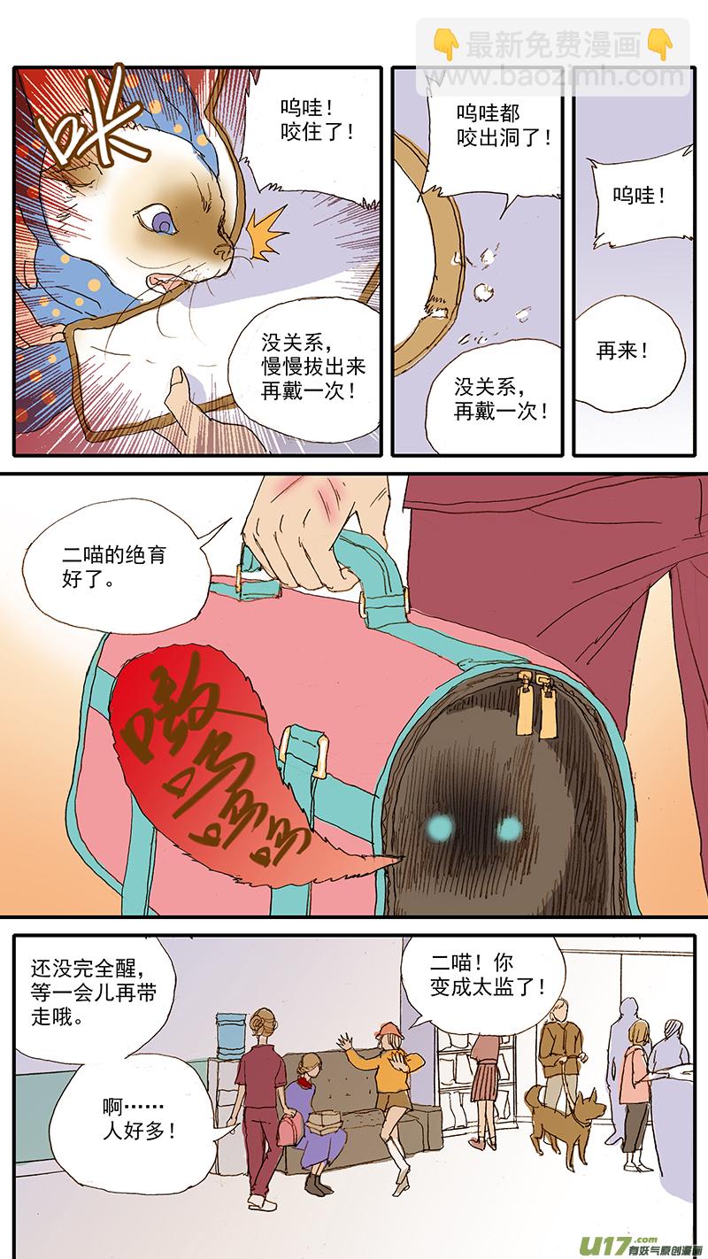 042 绝育手术对动物性格的影响-第42话