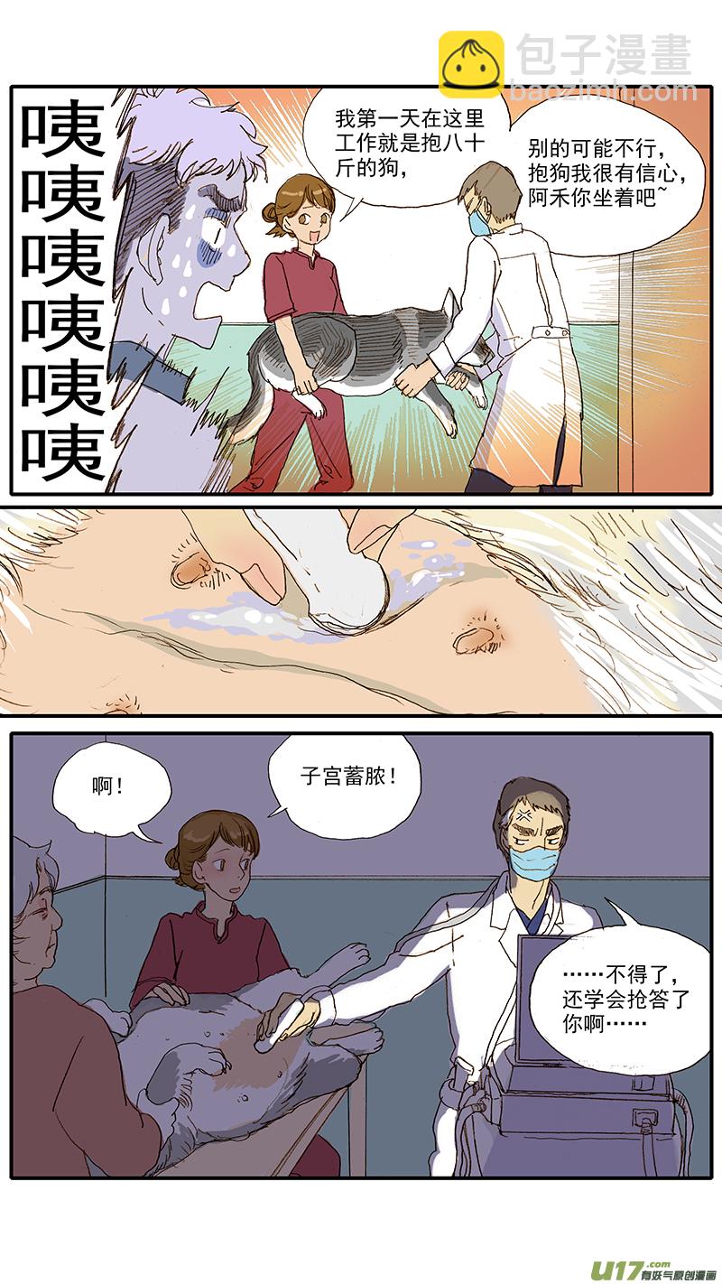 百足寵物診所 - 050 死胎 - 2