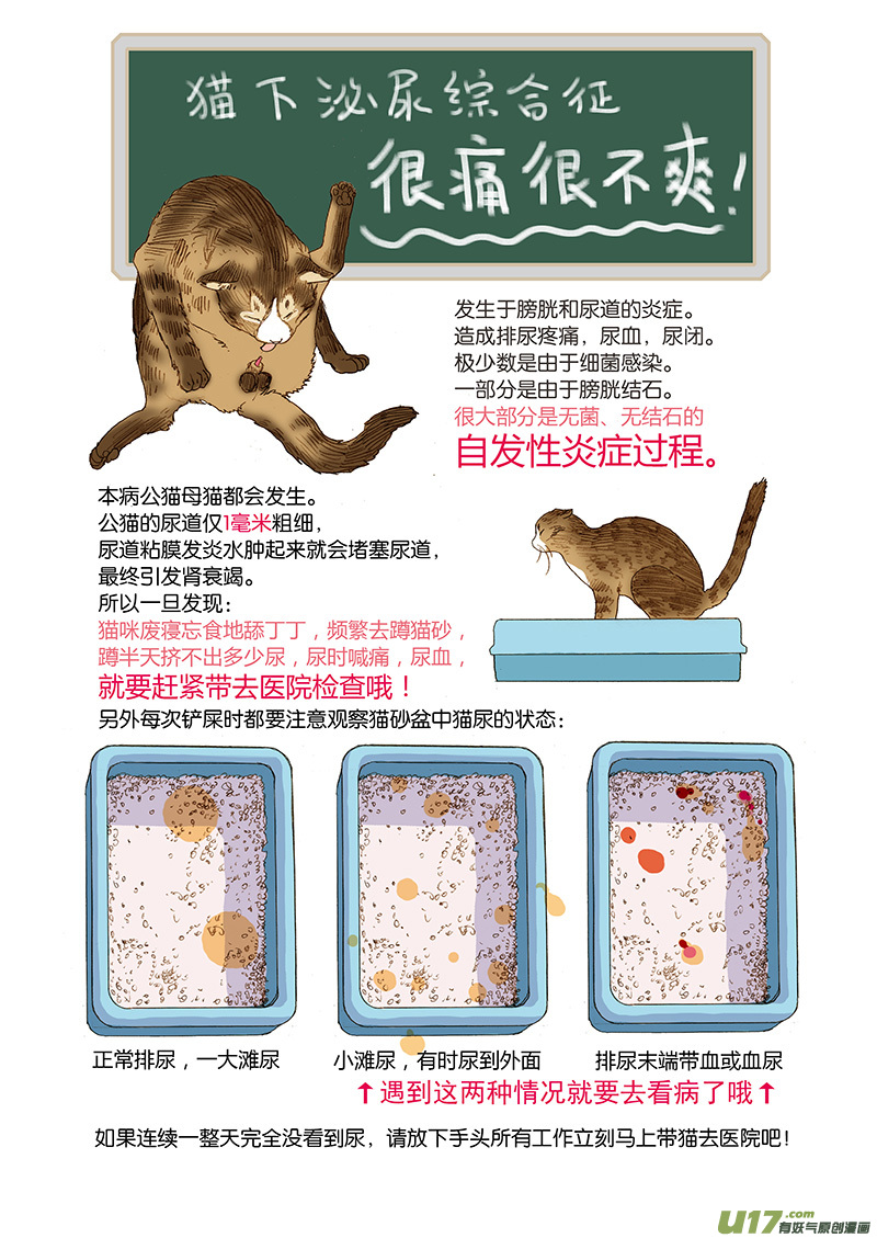 006 公猫尿闭-第6话