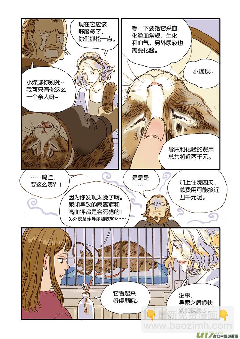 006 公猫尿闭-第6话