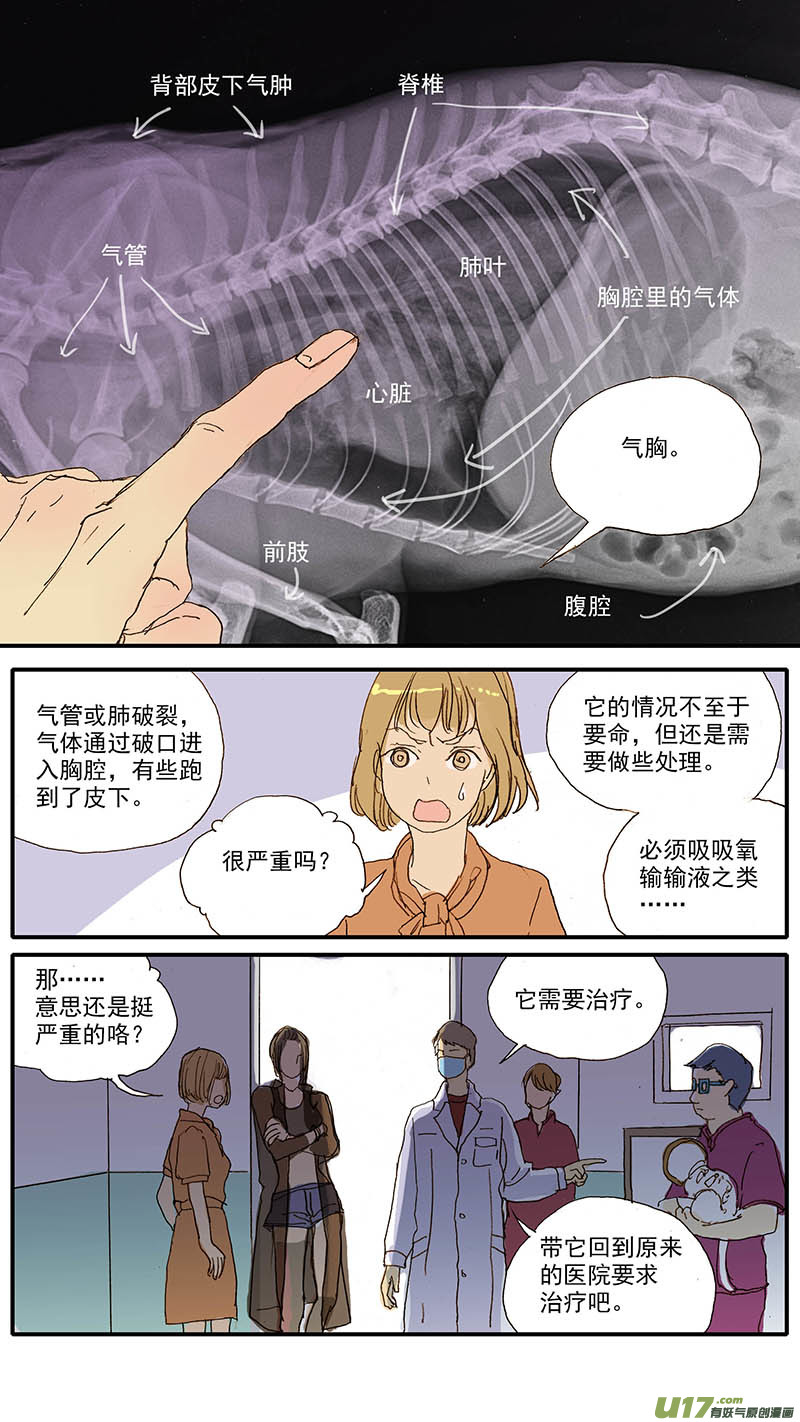 052 气管破裂-第52话