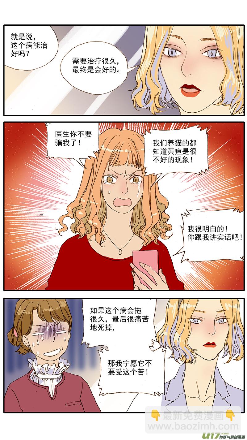 056 猫特发性脂肪肝-第56话