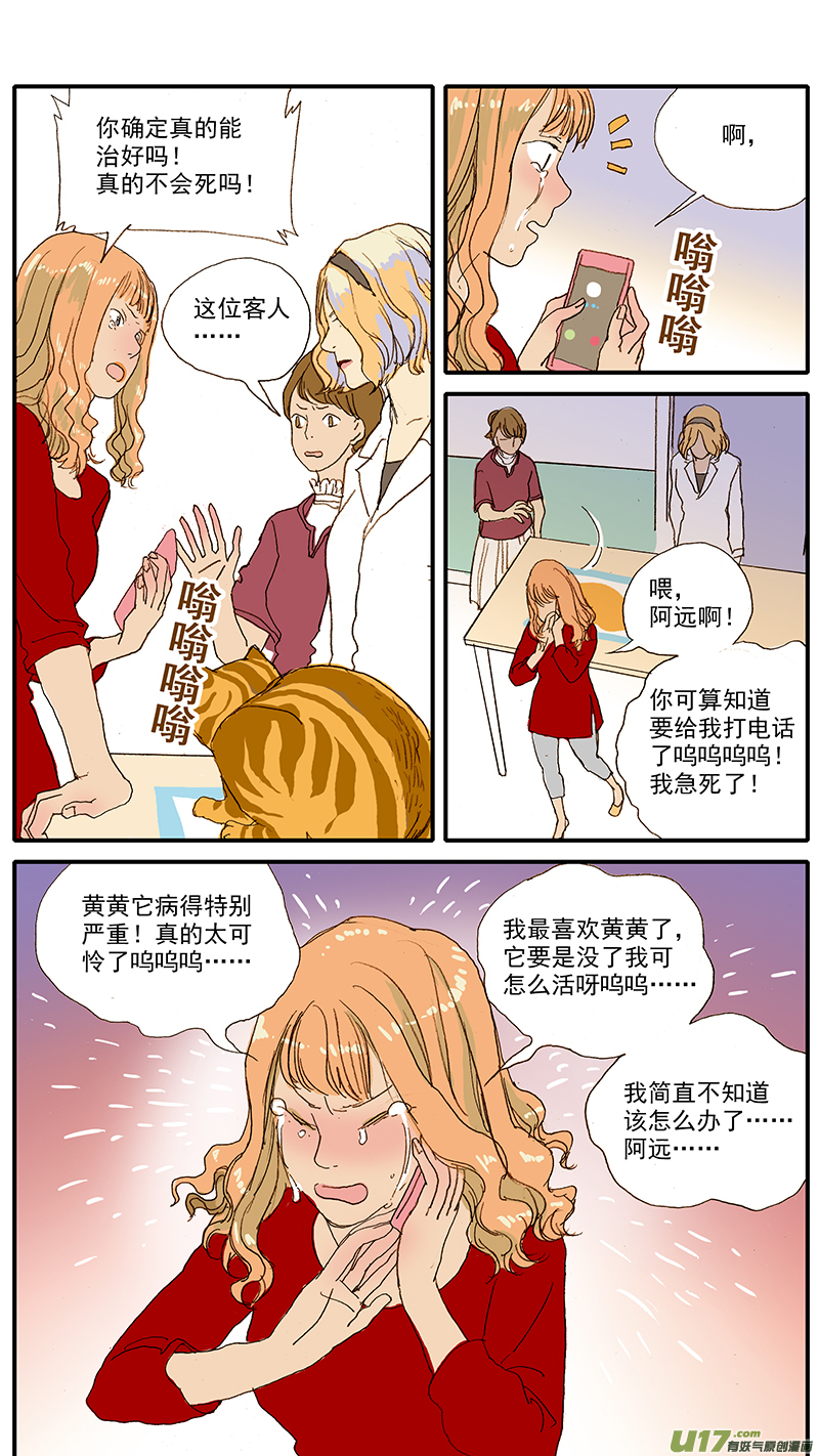 056 猫特发性脂肪肝-第56话