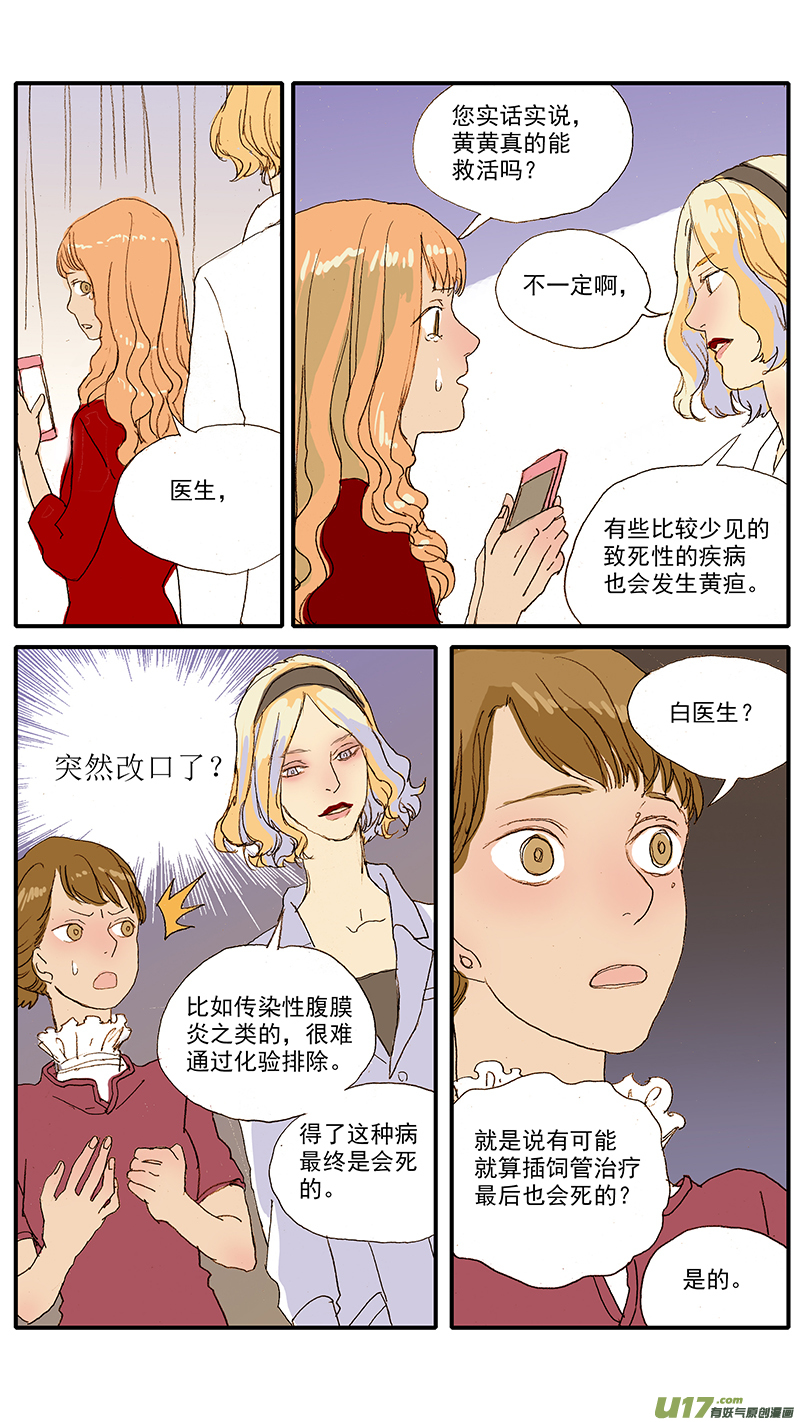 056 猫特发性脂肪肝-第56话