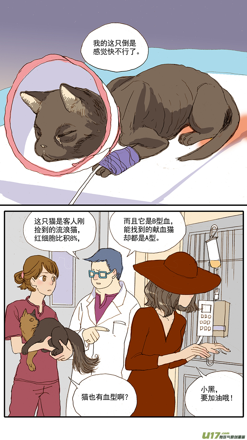 058 输血配血-第58话