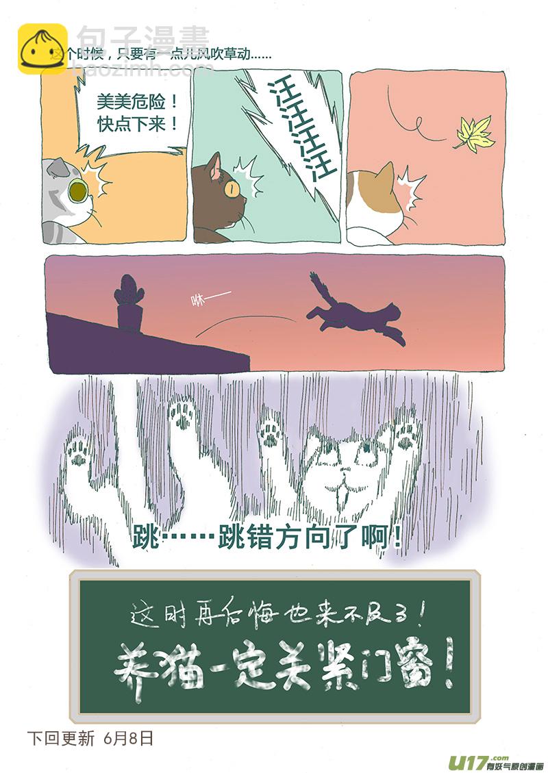 008 猫坠楼-第8话