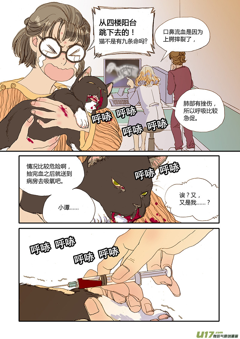 008 猫坠楼-第8话
