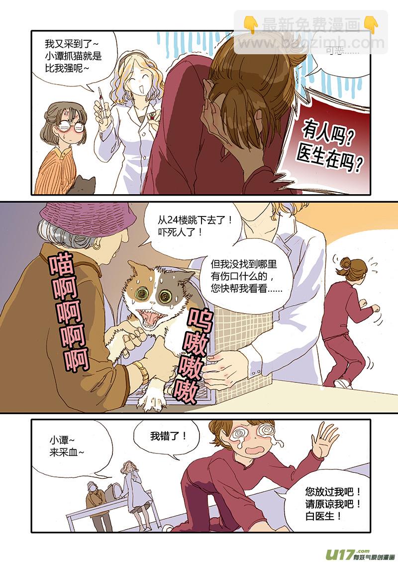 008 猫坠楼-第8话