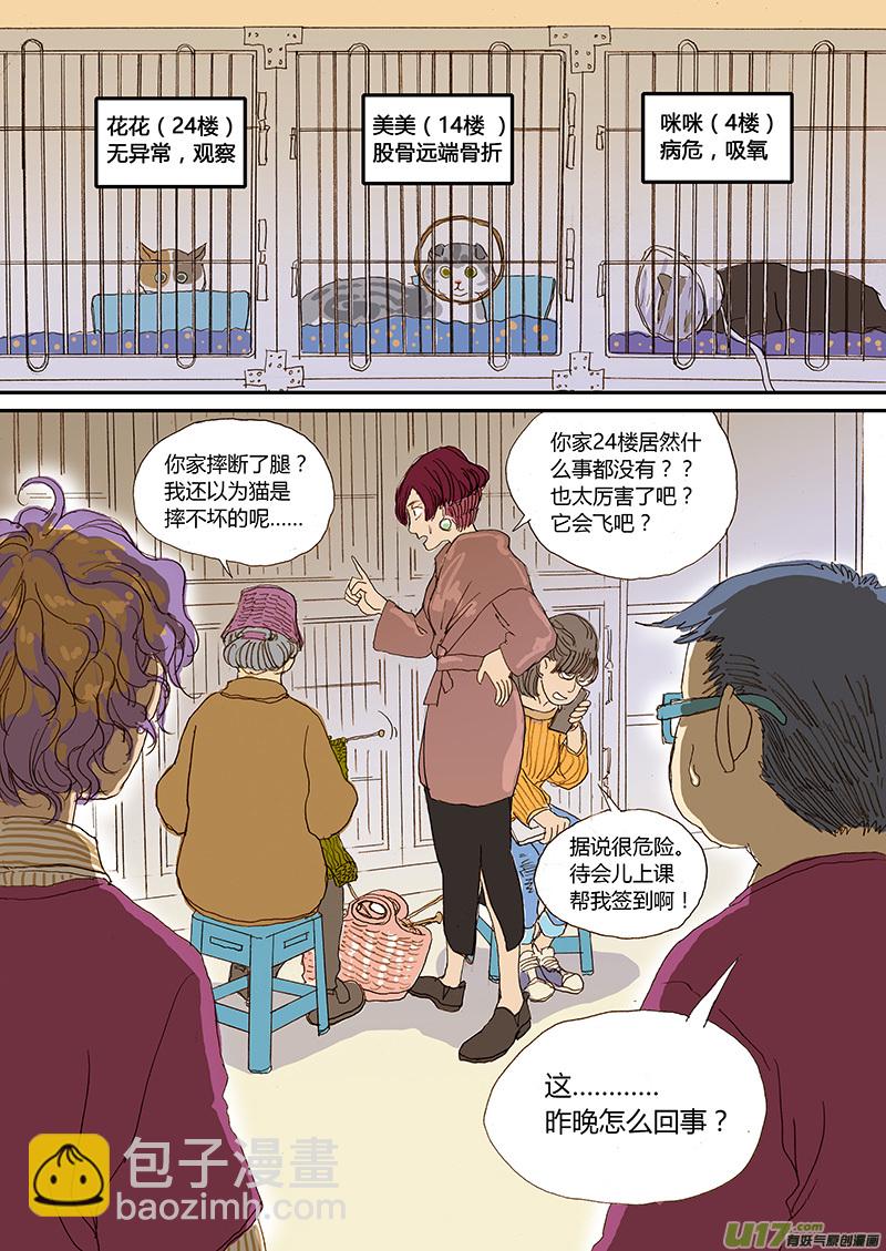 008 猫坠楼-第8话