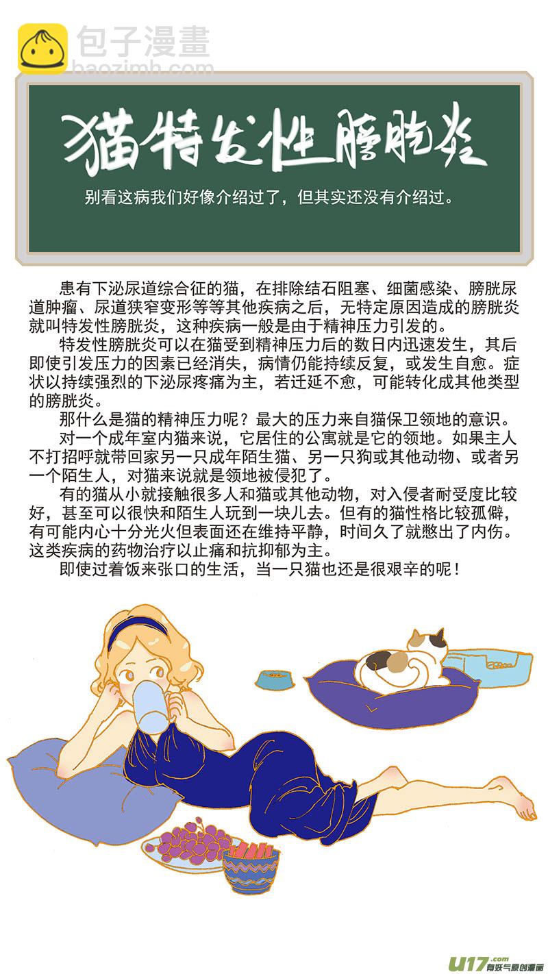078 猫特发性膀胱炎-第78话