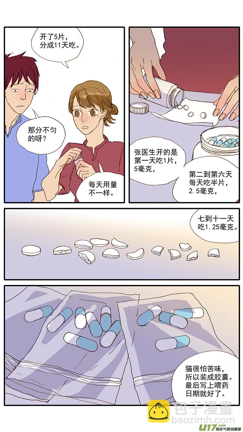 078 猫特发性膀胱炎-第78话