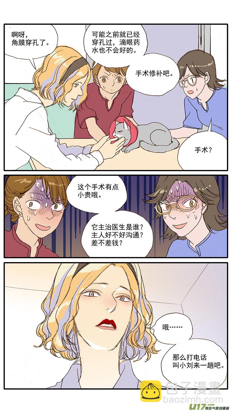 080 角膜溃疡穿孔-第80话