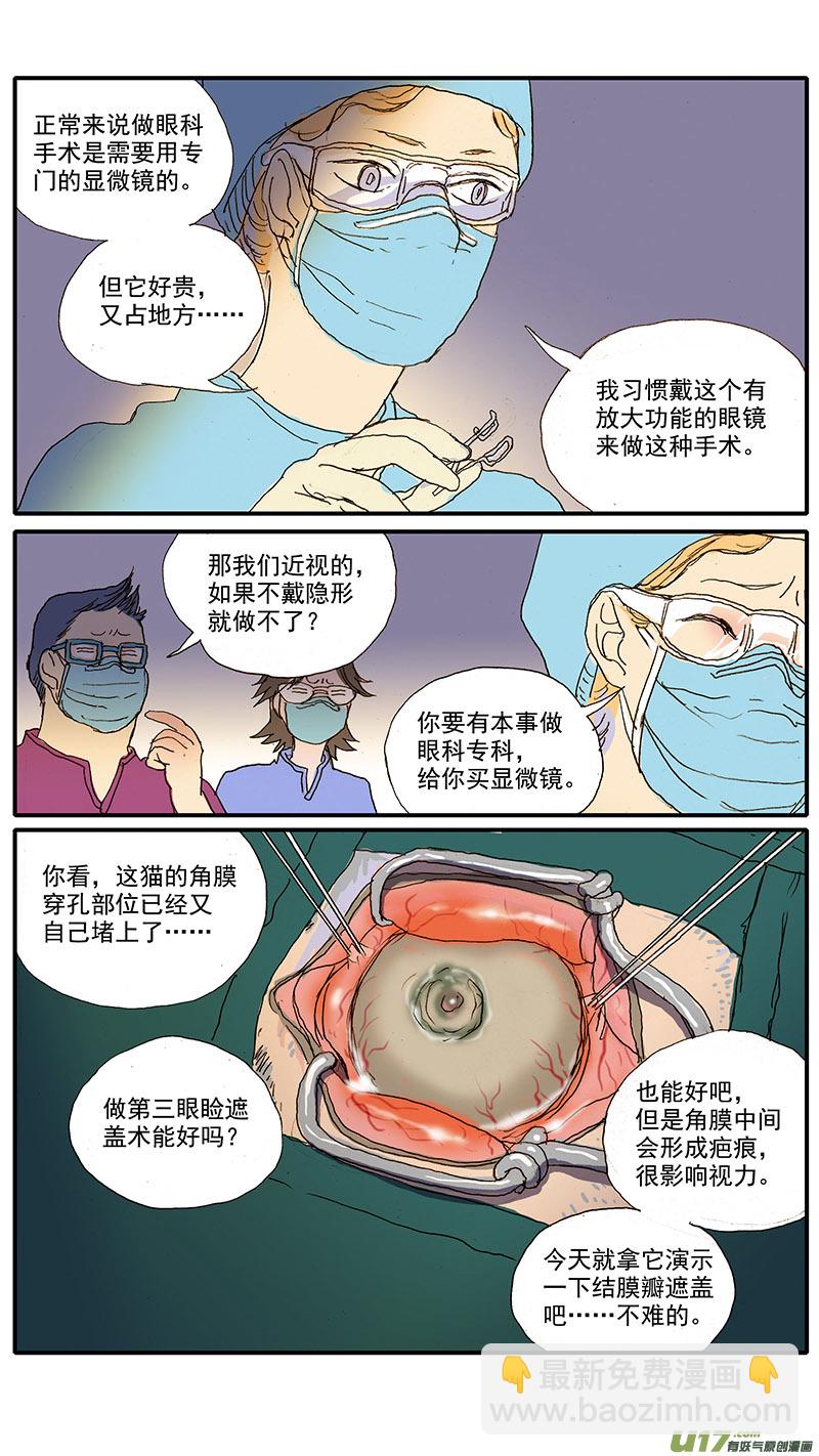百足寵物診所 - 080 角膜潰瘍穿孔 - 3