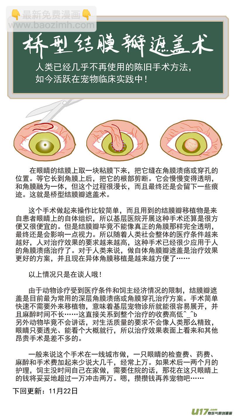 084 桥型结膜瓣遮盖术-第84话