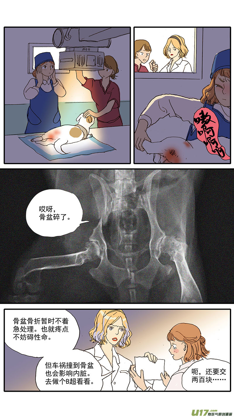 090 膀胱破裂-第90话