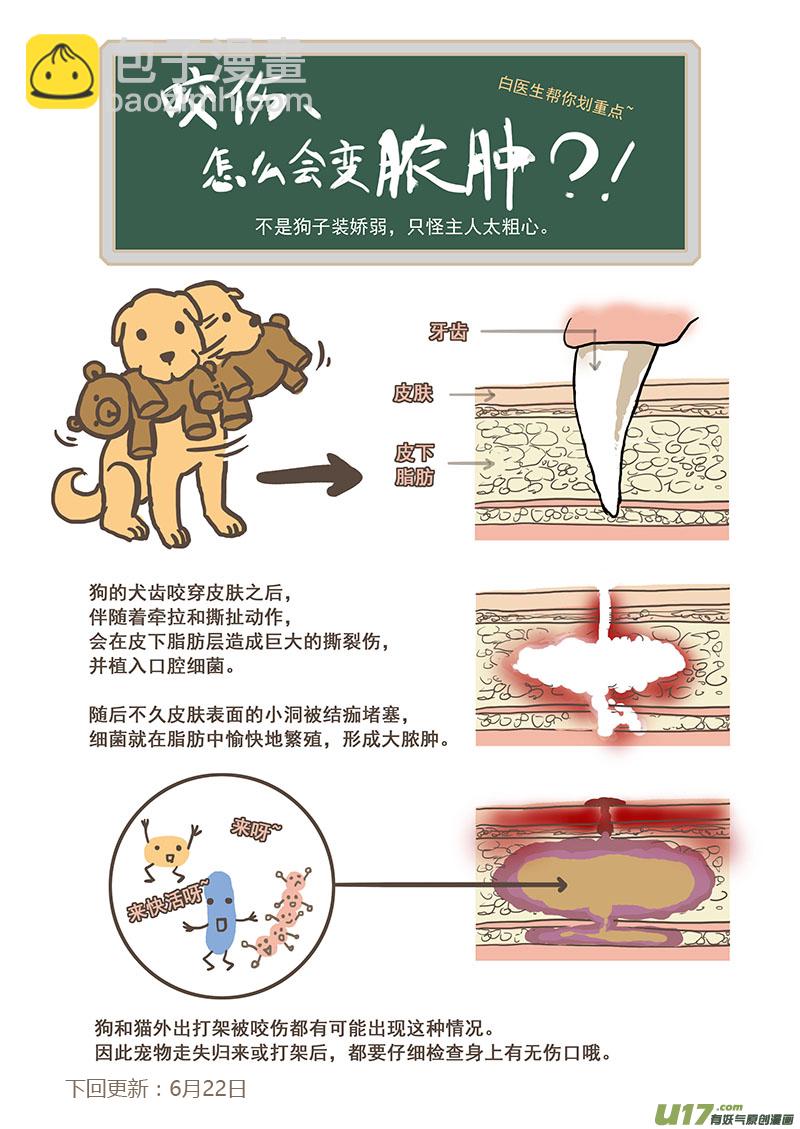 百足寵物診所 - 010 咬傷皮下膿腫 - 3