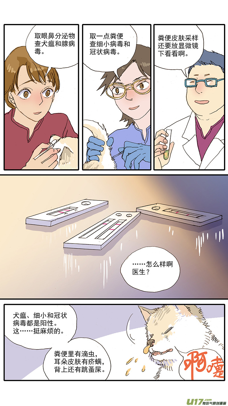 092 有偿领养骗局-第92话