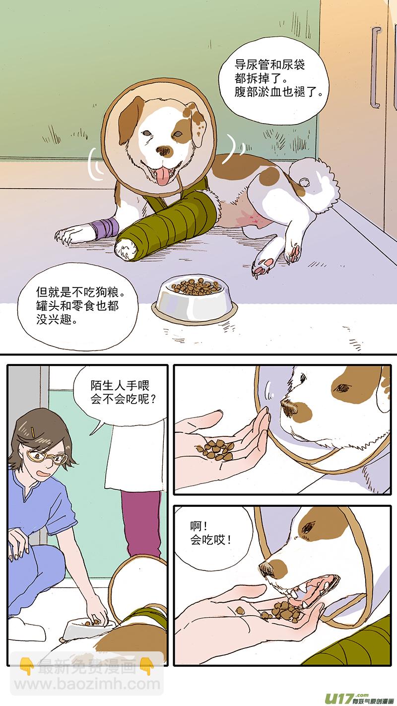 098 问题行为（饭盆恐惧）-第98话