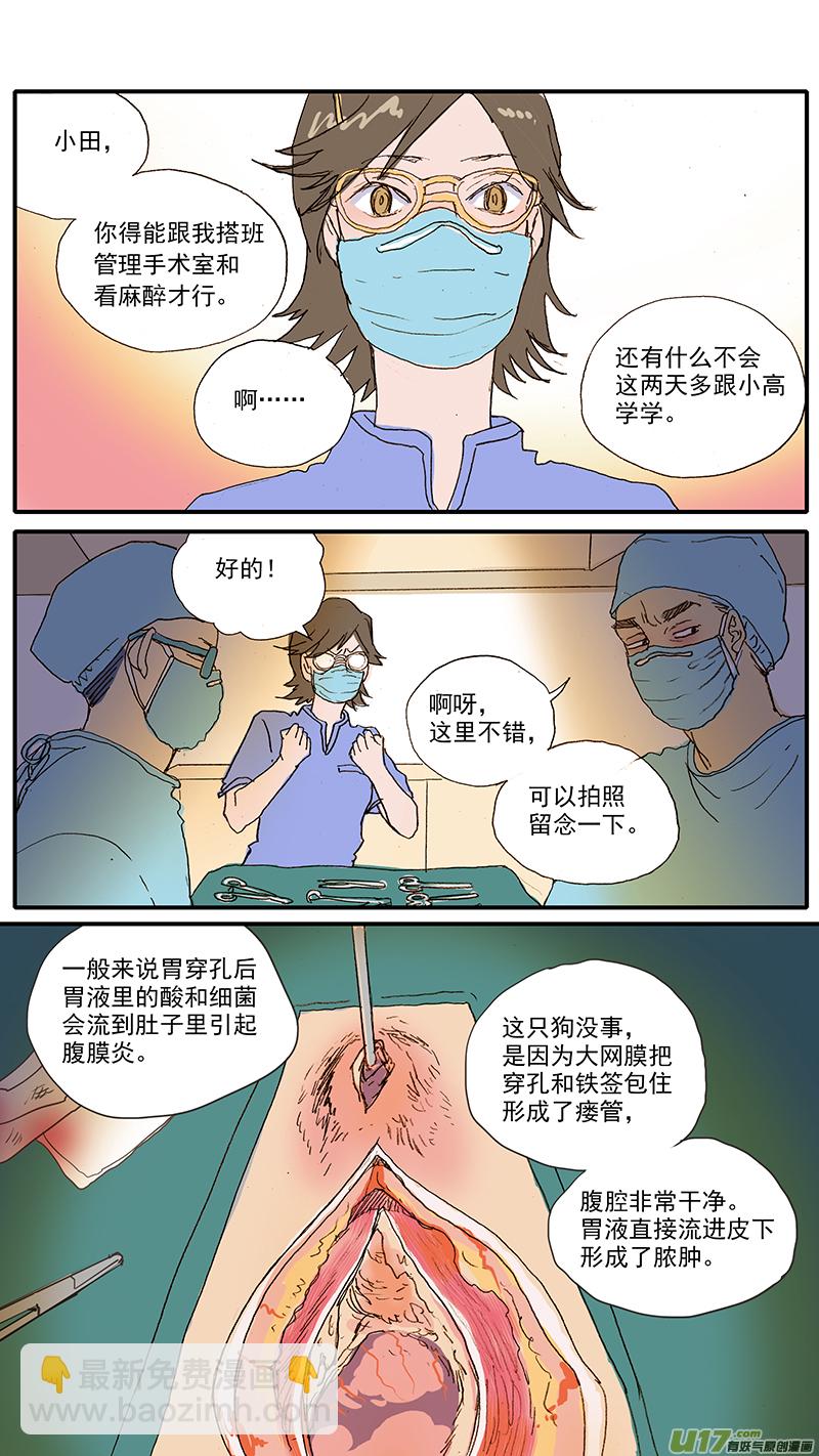 100 犬消化道异物（钢签）-第100话