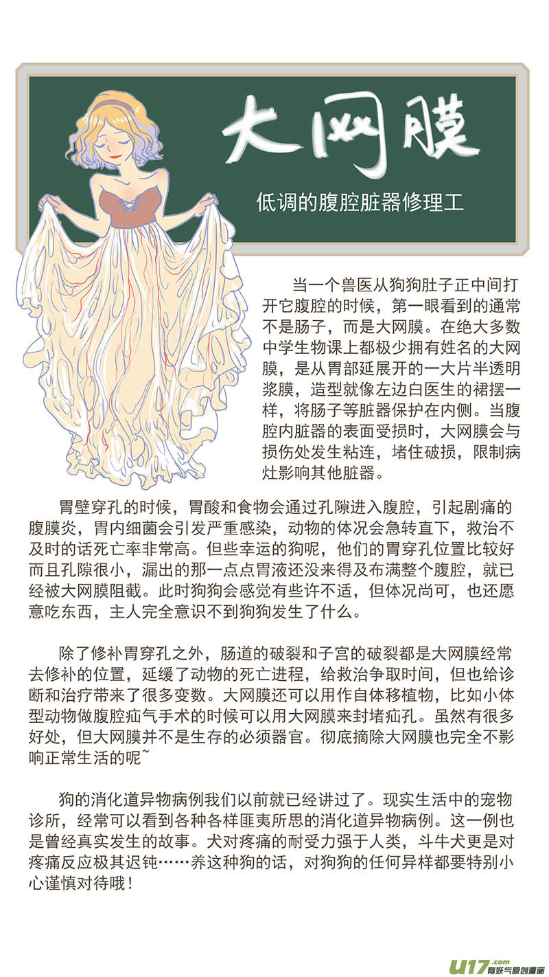 100 犬消化道异物（钢签）-第100话