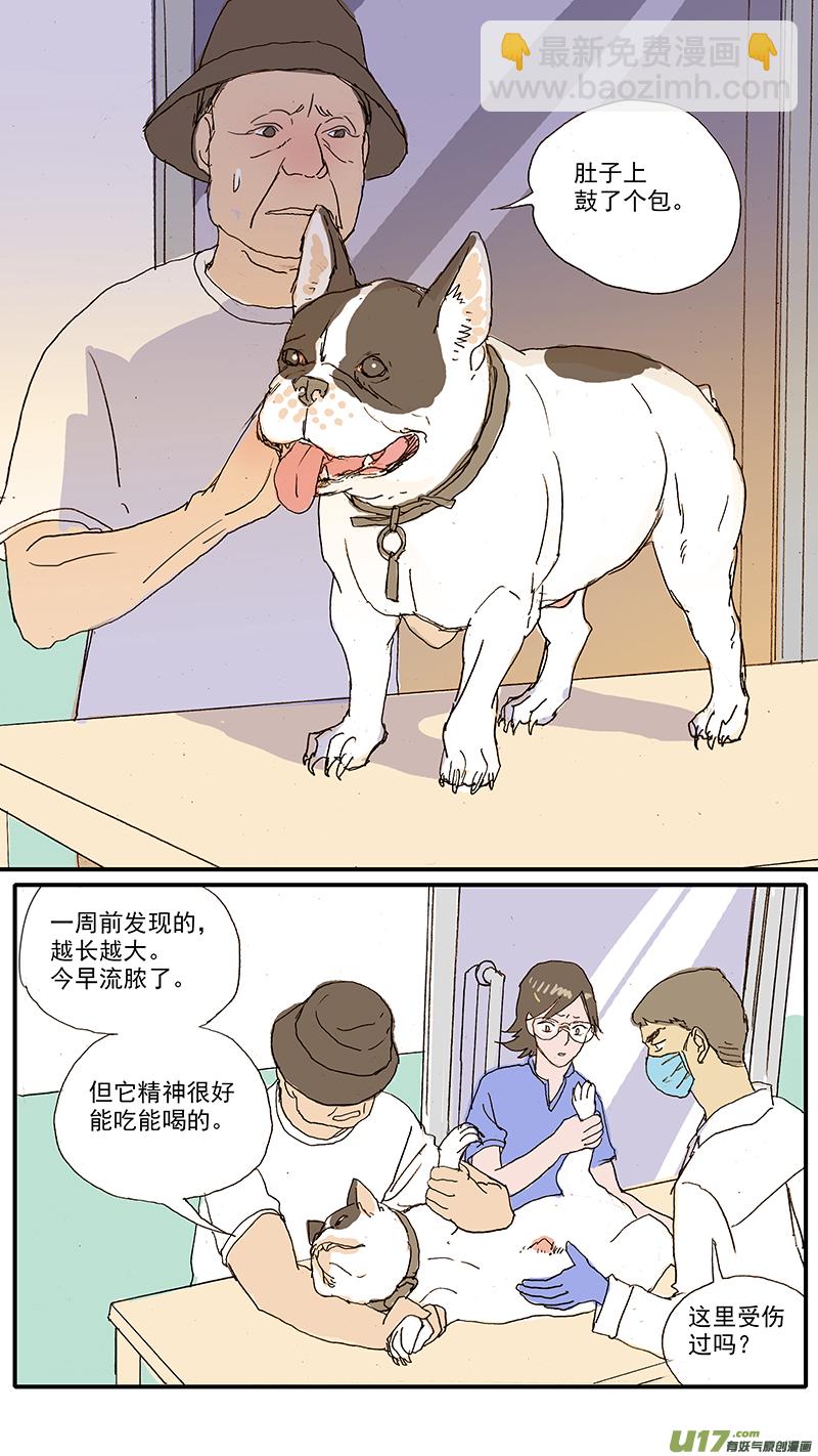 百足宠物诊所 - 100 犬消化道异物（钢签） - 1