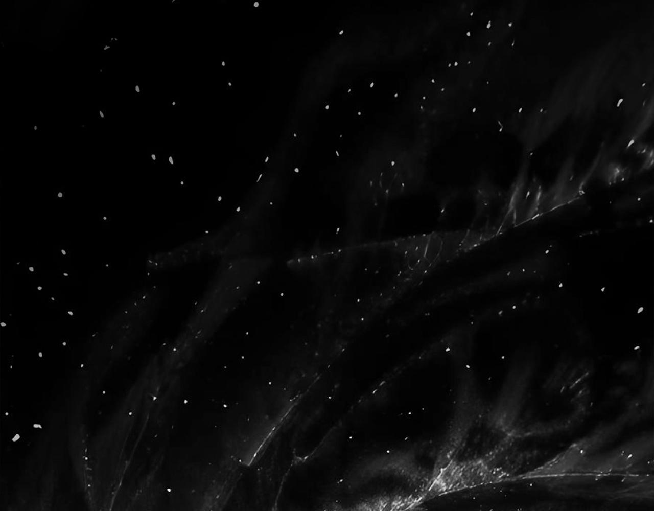 拔劍九億次 - 第265話 所謂的英雄(6/7) - 2