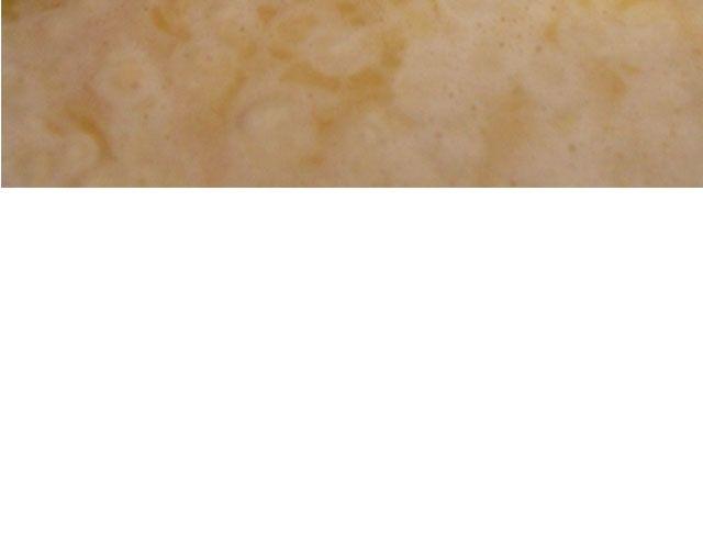 第24期  惊现公司的泡芙(1/2)-第24话