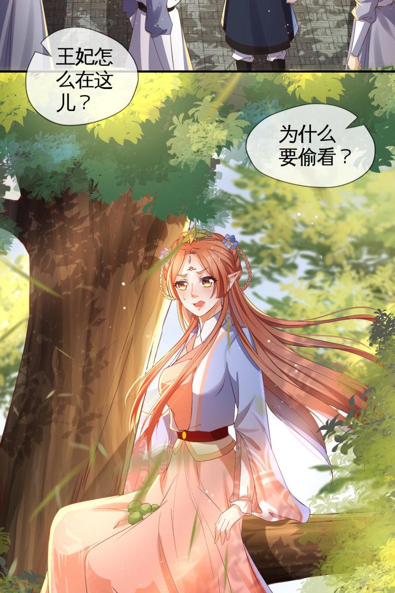 王妃怀孕了！？-第120话
