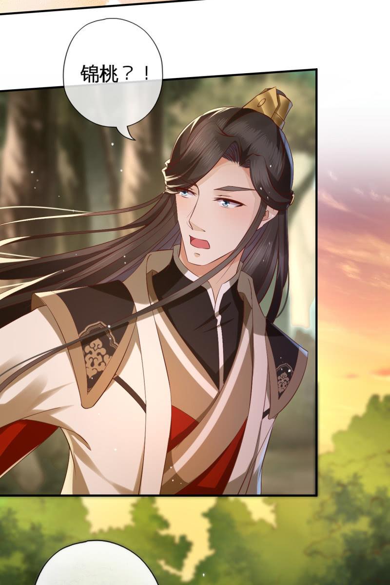 锦桃赶来-第136话