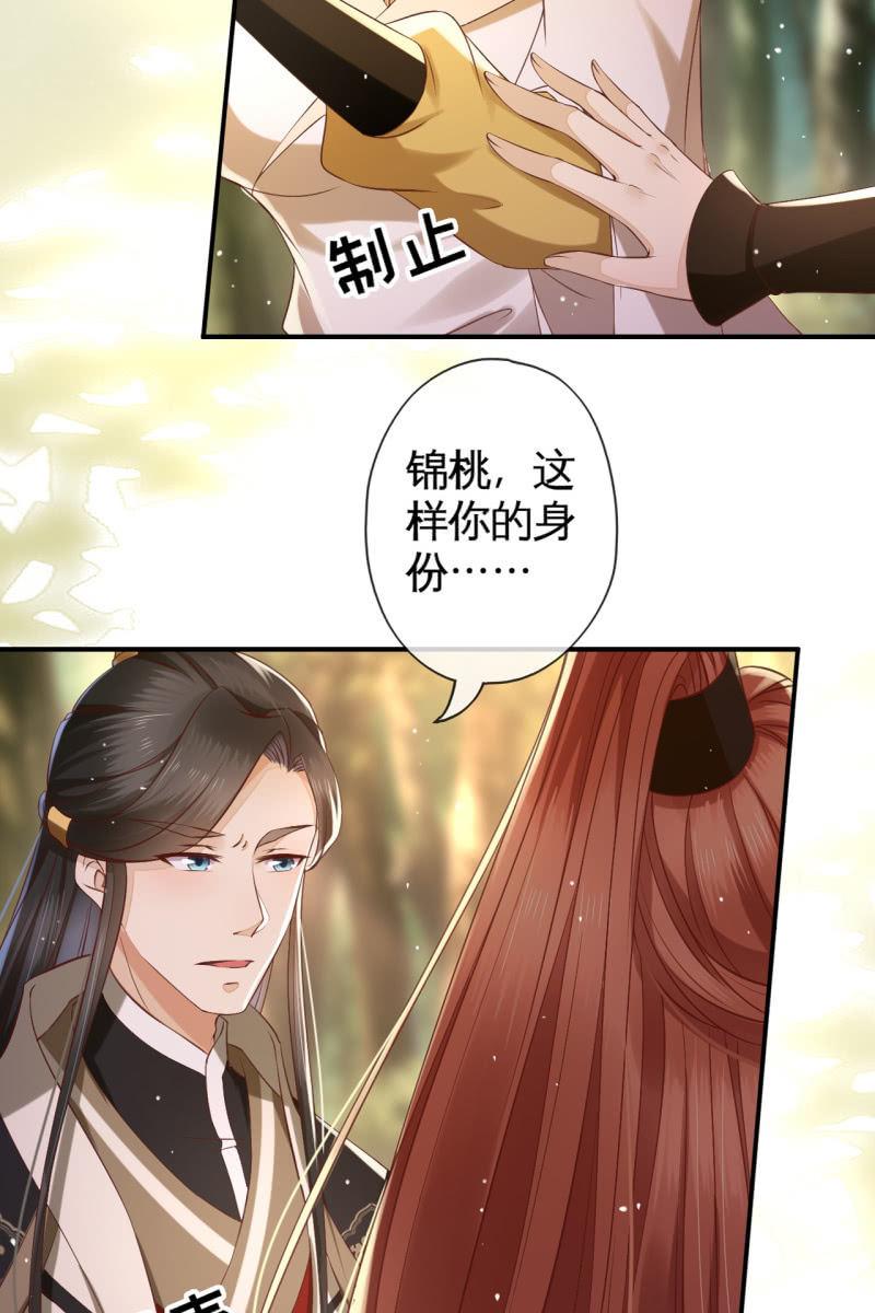 锦桃赶来-第136话