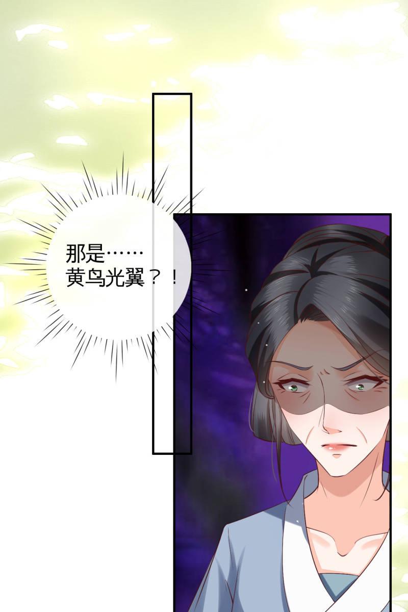 锦桃赶来-第136话