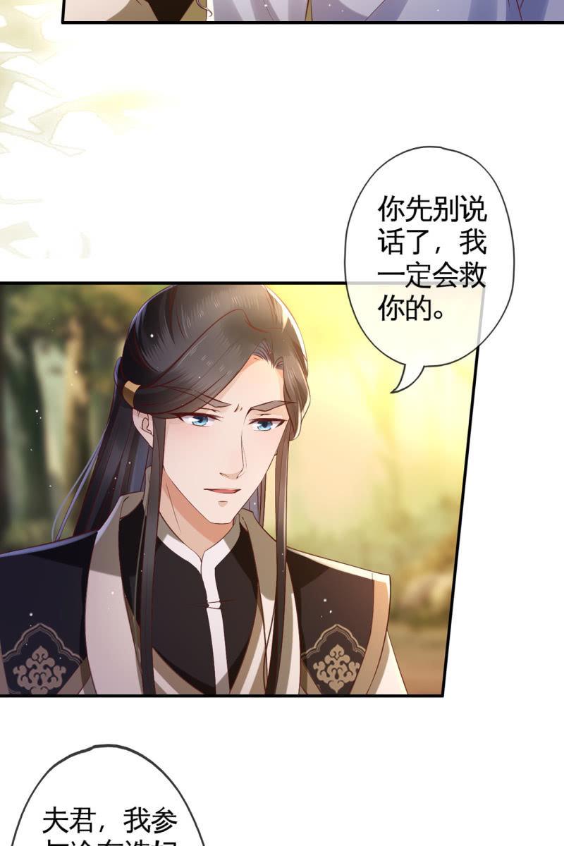 锦桃赶来-第136话