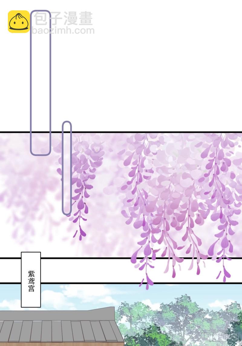 爆宠小萌妃 - 028 准备跑路 - 4