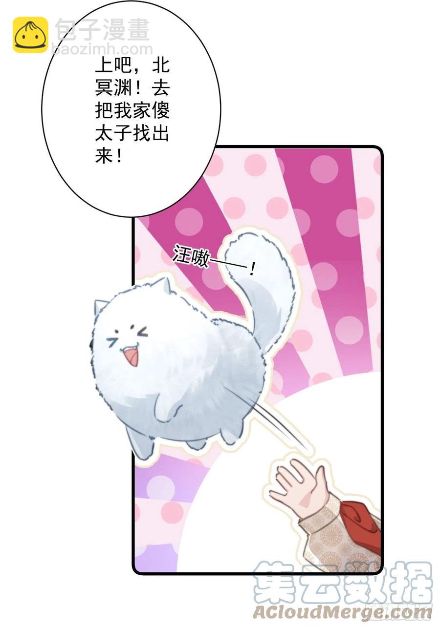 爆寵小萌妃 - 090 私生子 - 5