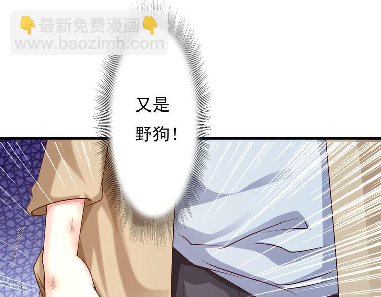 第5话(1/2)-第6话