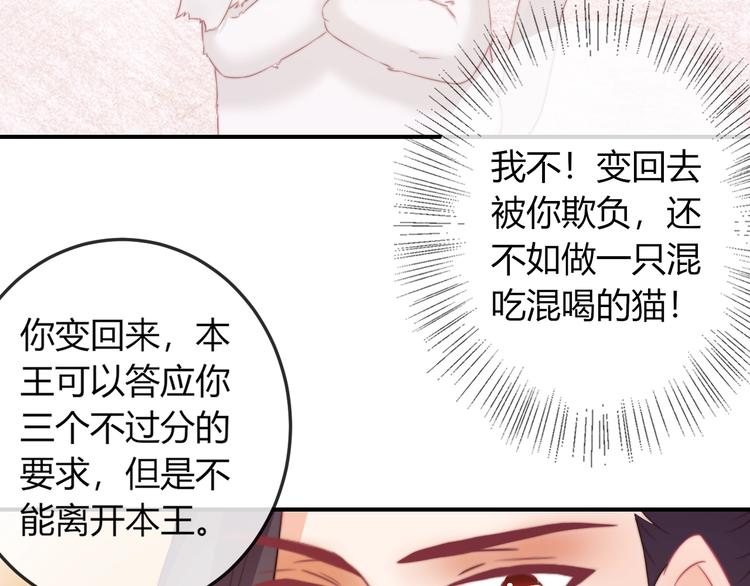 報告王爺，王妃是隻貓 - 第16話 做個實驗！(1/3) - 2