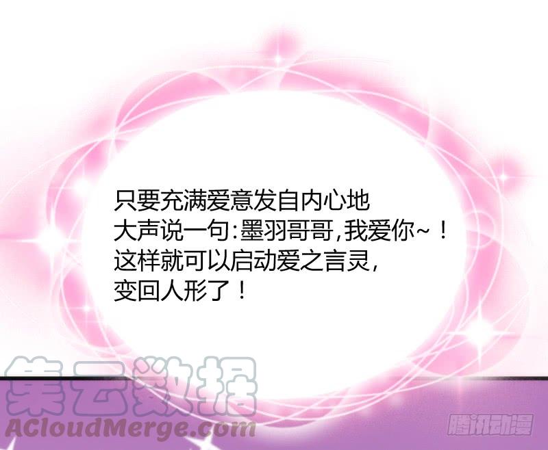 抱緊我的小白龍 - 我的白！你聽我解釋啊啊！！(1/2) - 5