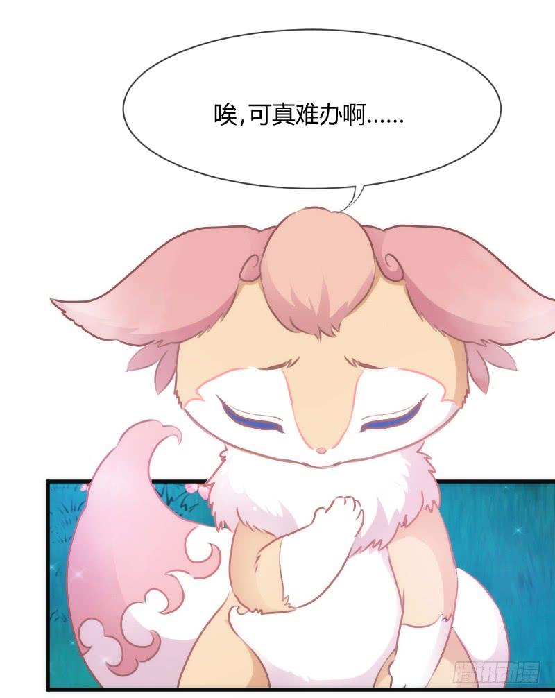 抱緊我的小白龍 - 我的白！你聽我解釋啊啊！！(1/2) - 1