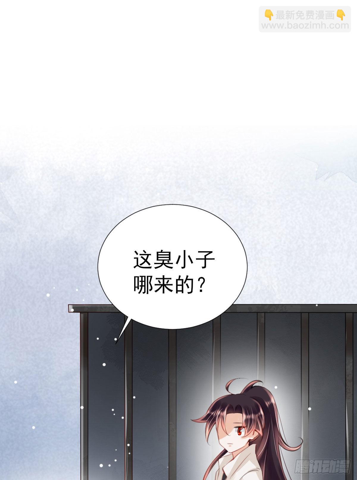 序章 天降萌萌小锦鲤！-第2话