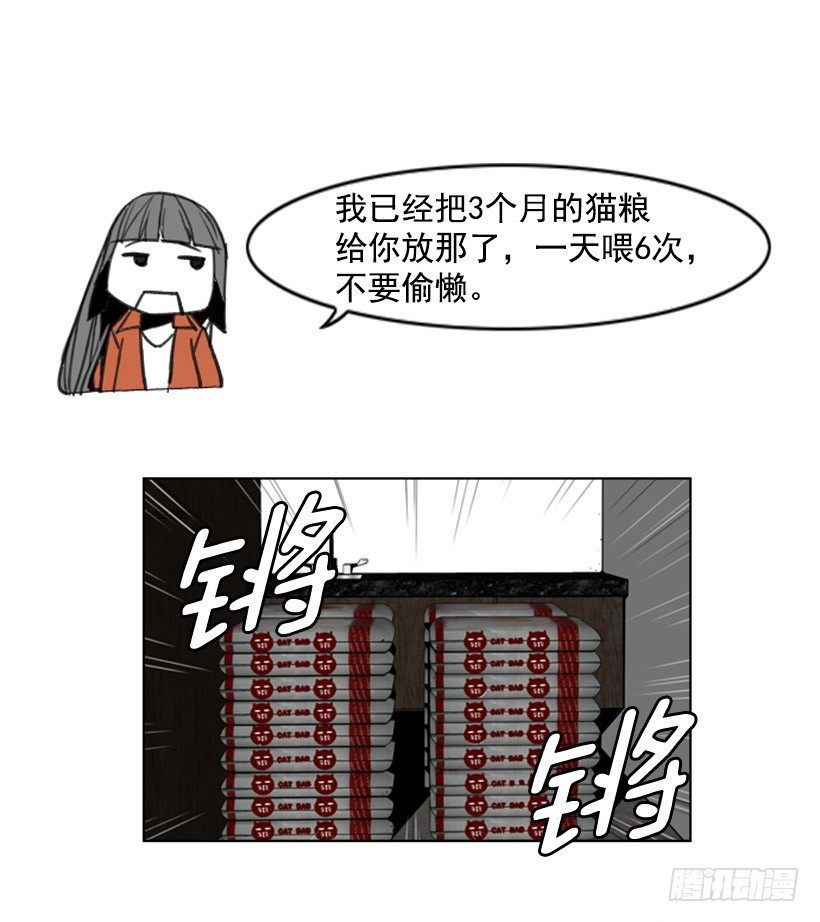 会说话的猫-第12话