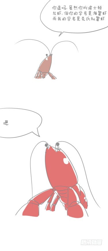 小龙虾-第12话