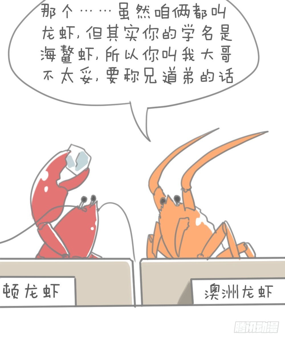 龙虾-第22话