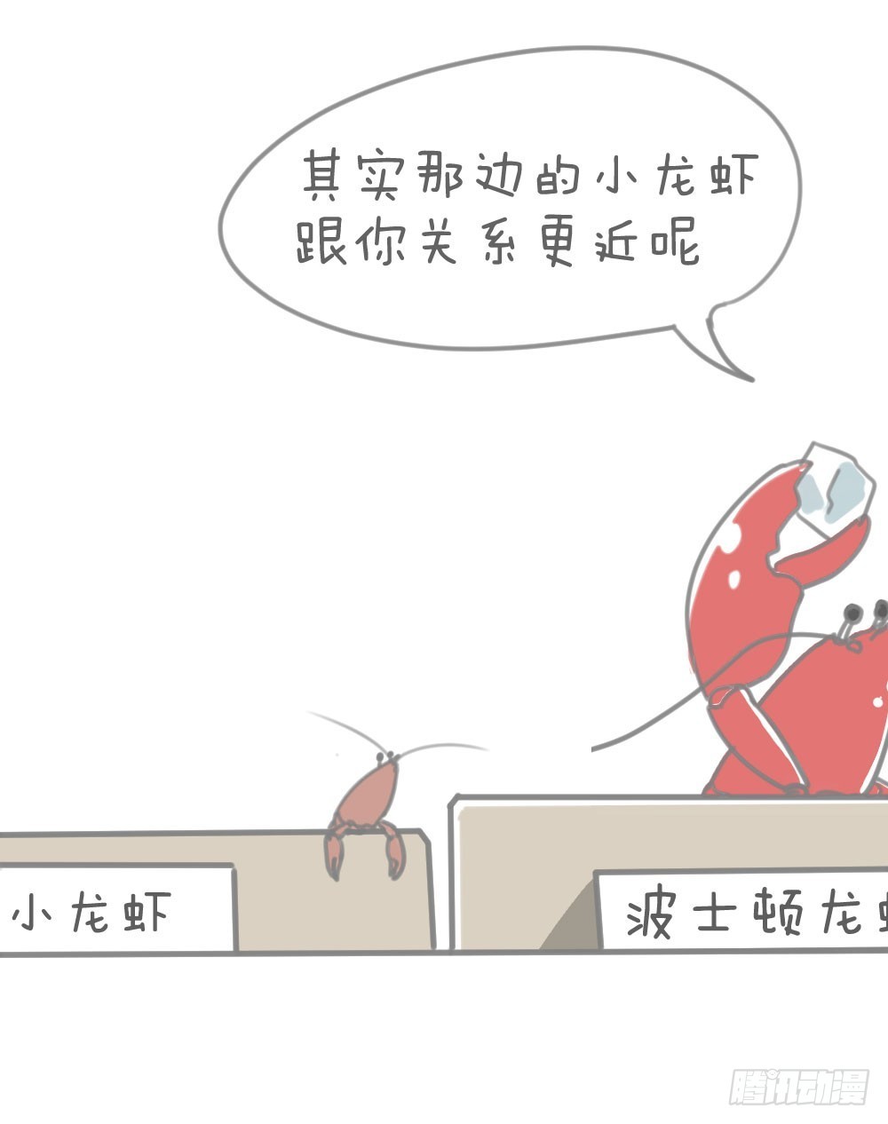 龙虾-第22话