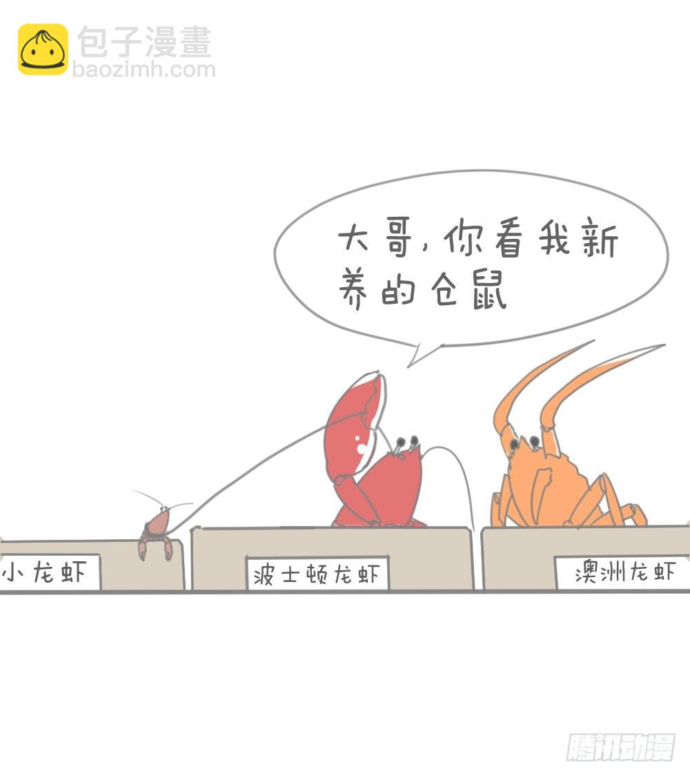 龙虾-第22话