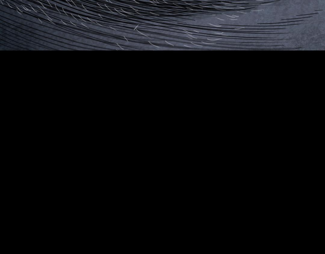 02我大意了！没有闪！(1/6)-第2话