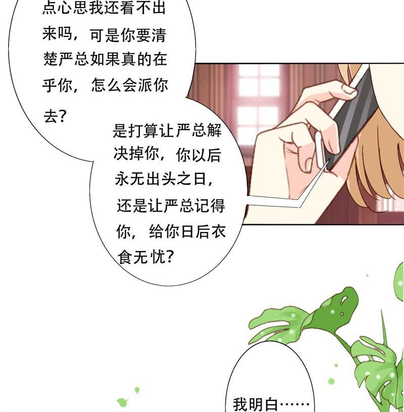 24-幕后主使是严磊-第24话