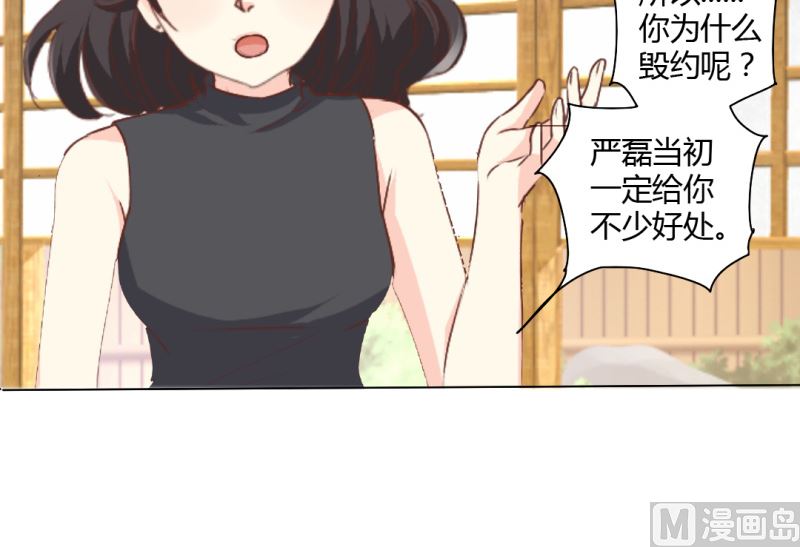 24-幕后主使是严磊-第24话