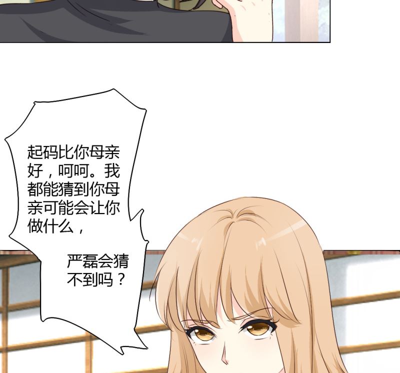 24-幕后主使是严磊-第24话