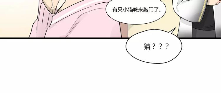 第8话 迷路的小猫咪-第8话