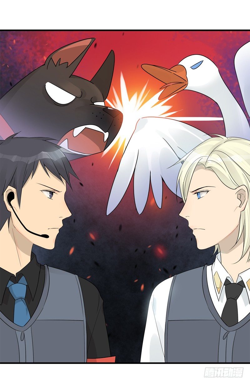 第019话 红火街坊攻防战-第20话